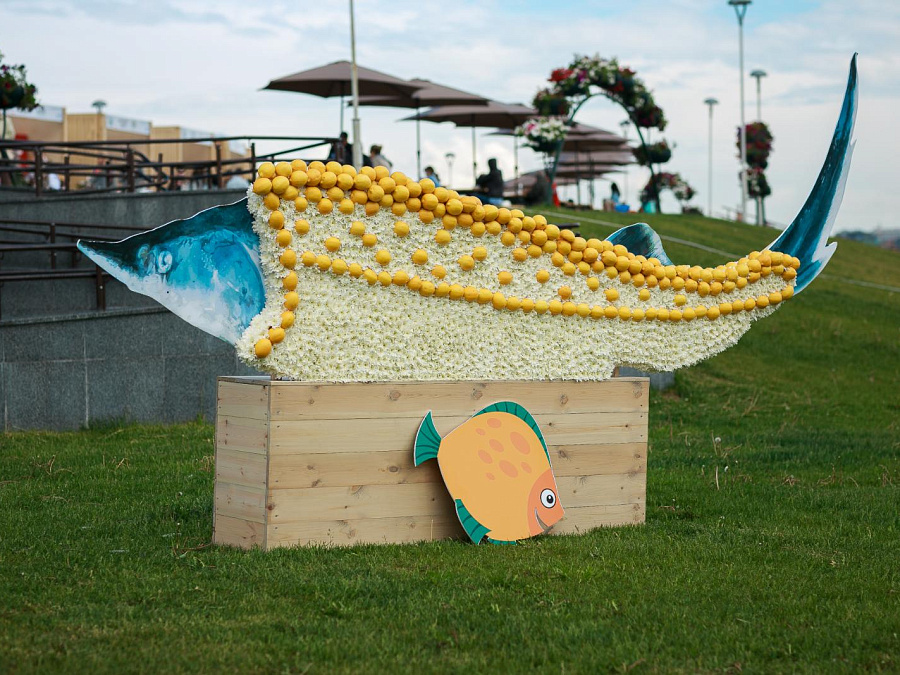 застройка рыбного фестиваля