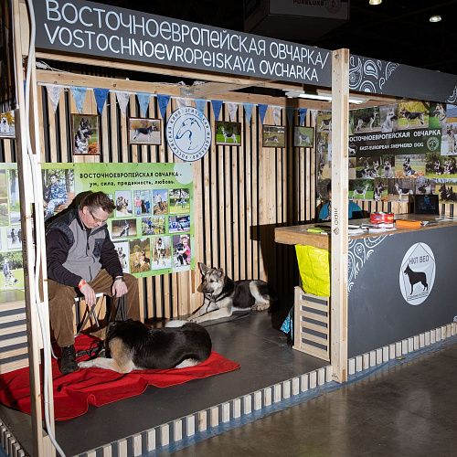 Евразия 2019 Интернациональные выставки собак 
