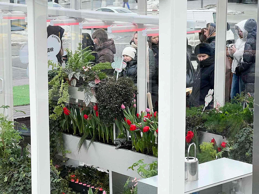 QBIK Теплица 3x4 метра г. Москва